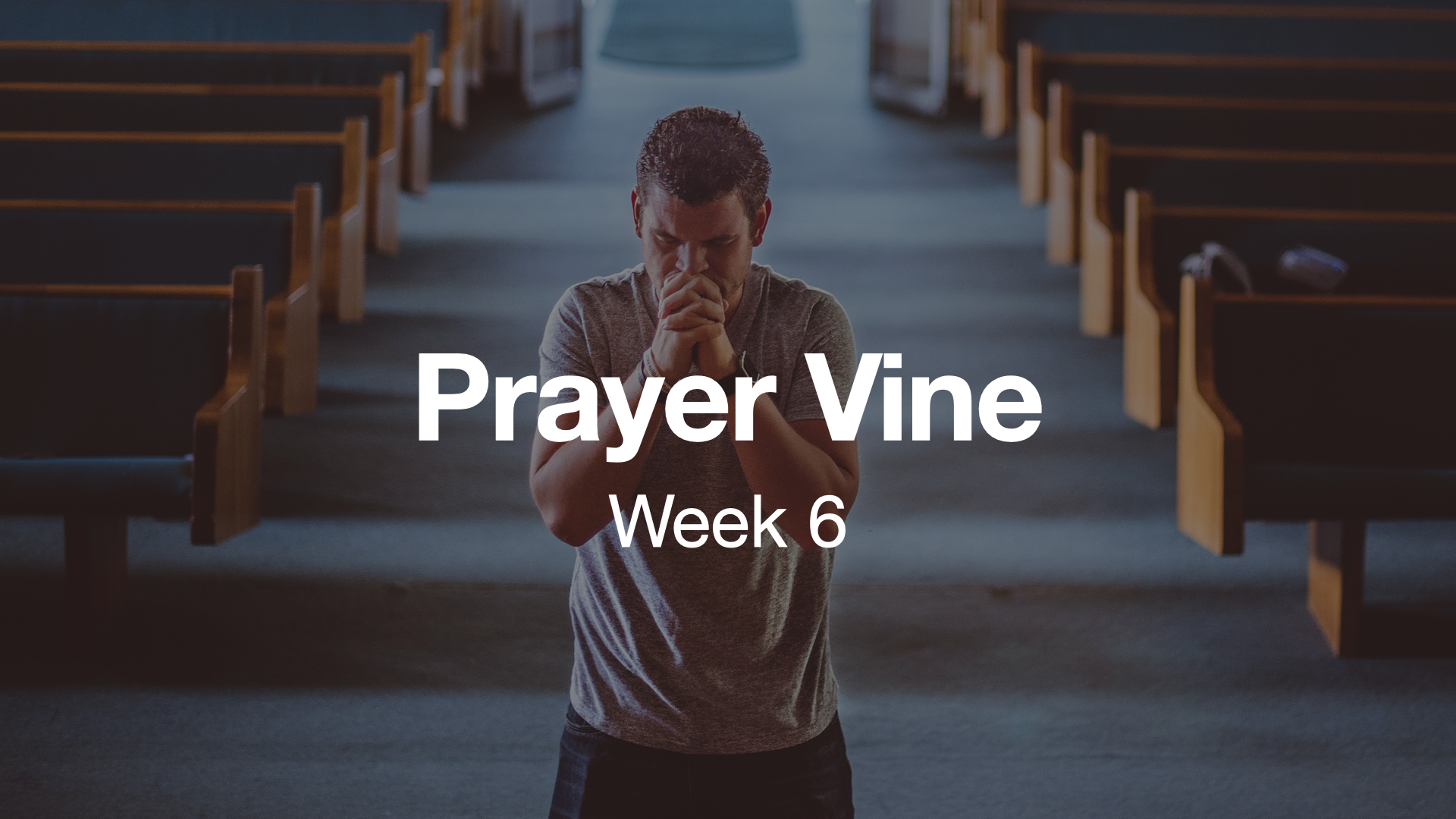 2025 Prayer Vine Weeks.006