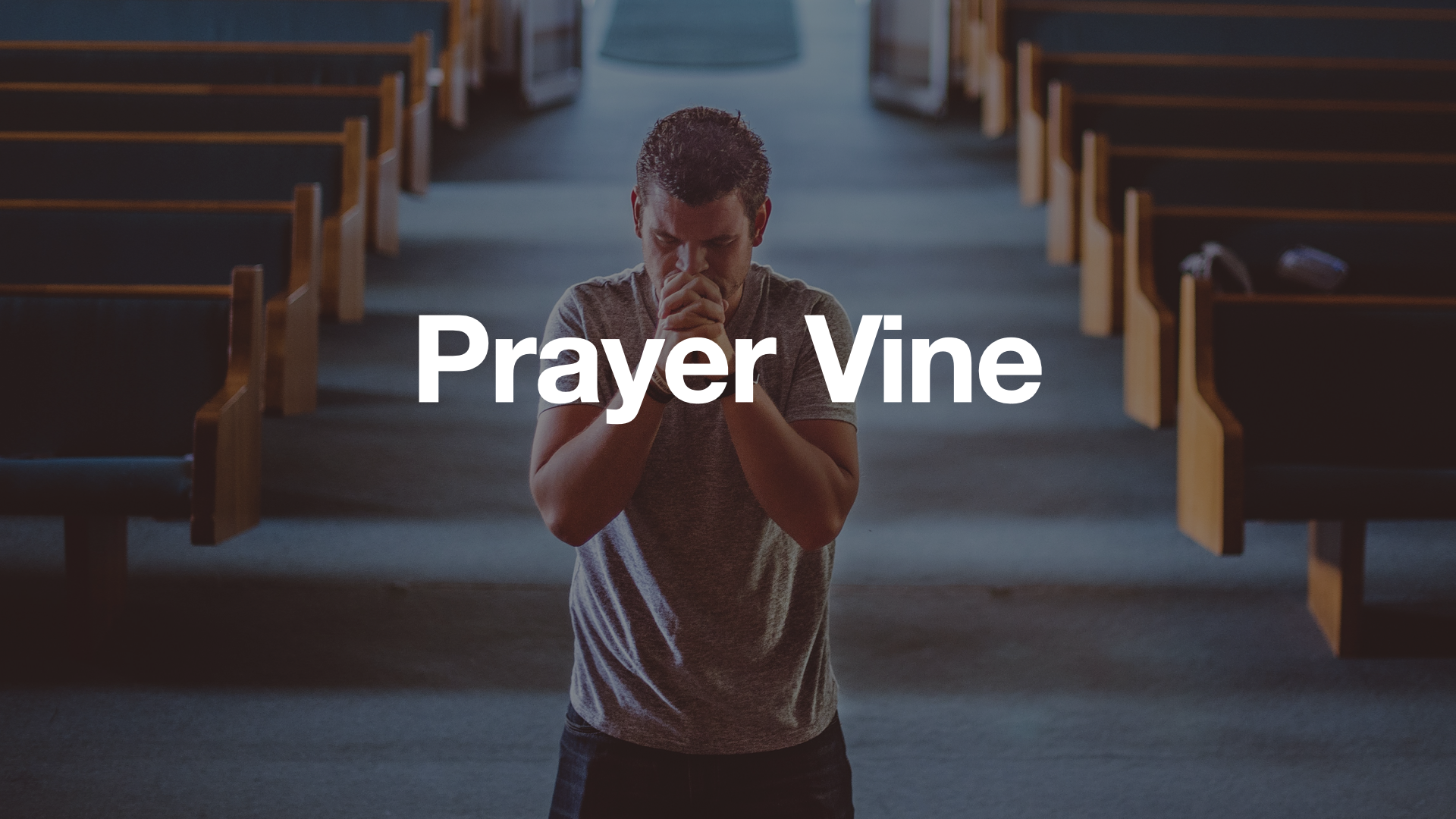 2026 Prayer Vine Weeks.053