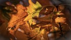 Autumn Deanery Newsletter